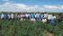 Con programa Soya Sustentable capacitan a productores de San Julián y Cuatro Cañadas